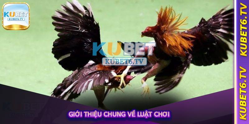 Giới thiệu chung về luật chơi