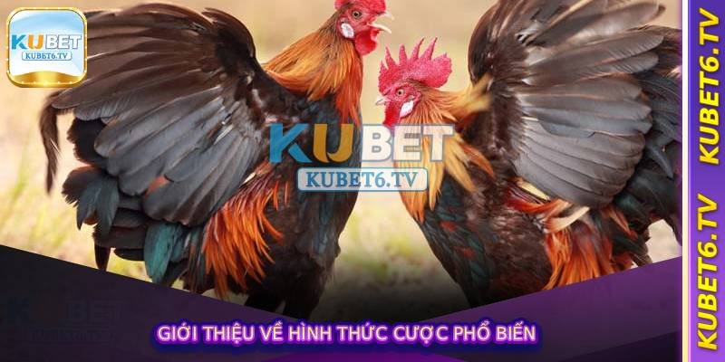 Giới thiệu về hình thức cược phổ biến