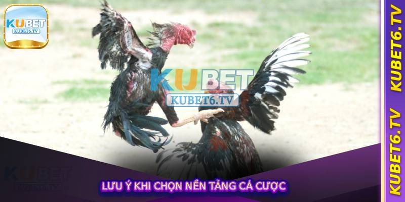 Lưu ý khi chọn nền tảng cá cược