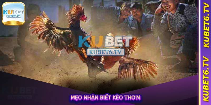 Mẹo nhận biết kèo thơm