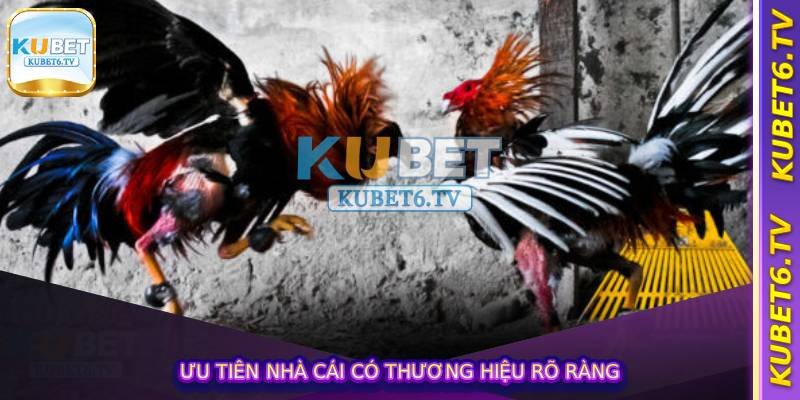 Ưu tiên nhà cái có thương hiệu rõ ràng